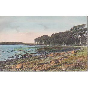 Bramsn&aelig;svig - St. 2928