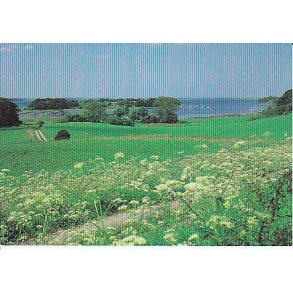 Dejligheden - Bramsn&aelig;svig - G.u/n