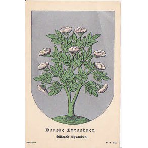 Hillerd Byvben - F.B. 19