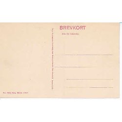 Hilsen fra Lejren ved Frederiksvrk - H.15519