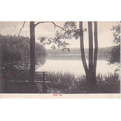 Grib S&oslash; - Hiller&oslash;d- A.V.3111