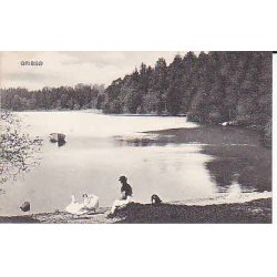 Grib S - Hillerd- P.A.1946