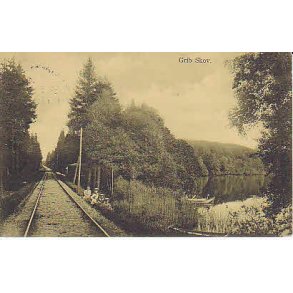 Grib Skov - A.V.268/9