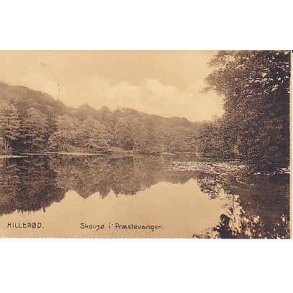 Hillerød Skovsø I Præstevangen.K.P. 13276
