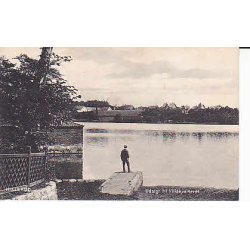 Udsigt til Villakvarteret - Hiller&oslash;d C.F. u/n