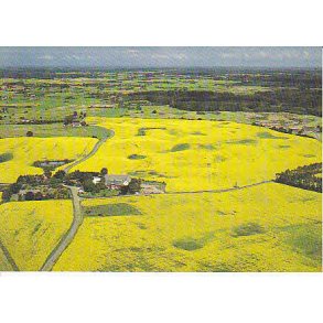 Bauneholm - Bendstrup - Hillerød -D.F. 158400