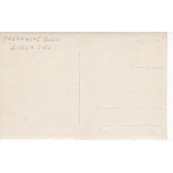 Frederiksborg Slot. Riddersalen- Fotokort