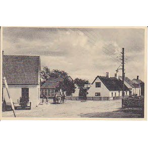 Hj&oslash;rnet - Sk&aelig;vinge - FDB 454