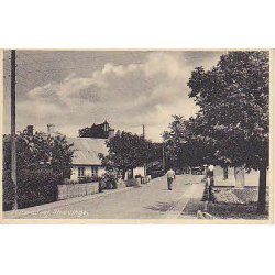 Hiller&oslash;dvej - Sk&aelig;vinge - FDB 452