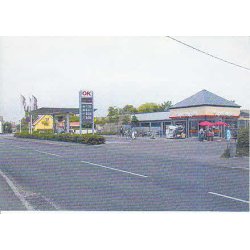 Sk&aelig;vinge Brugs - F.B. u/n