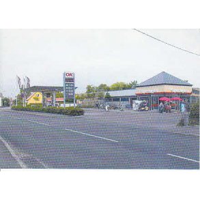 Sk&aelig;vinge Brugs - F.B. u/n