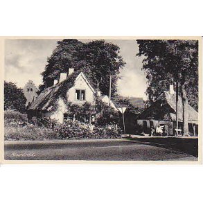 Bloustrød - L.B.10222