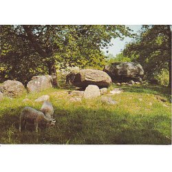 Aller&oslash;d Kommune. U.M.u/n