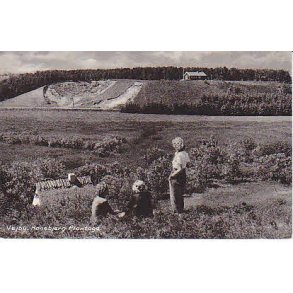 Vejby - Hanebjerg Plantage -N.I. 90068