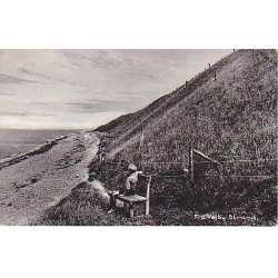 Fra Vejby Strand. N.I. 90064