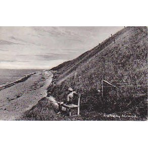 Fra Vejby Strand. N.I. 90064