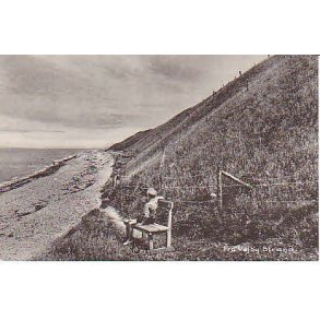 Fra Vejby Strand. N.I. 90064