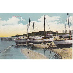 Raageleje - A.V. 520