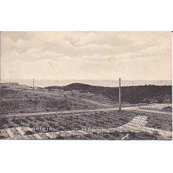 Raageleje. Udsigt over Kattegat. St. 5853