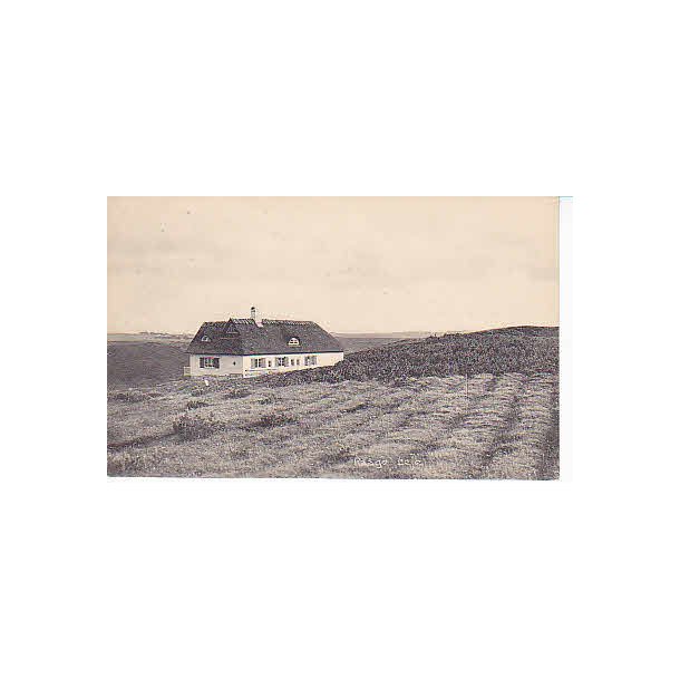 Raageleje - A.J. 23715