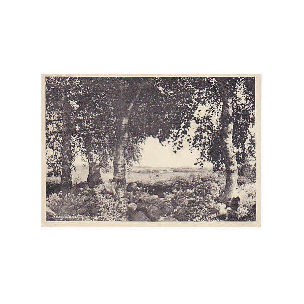 R�geleje Udsigten mod Syd. u/n