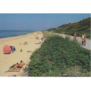 R�geleje - T. R�. 5