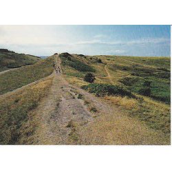 R�geleje - Heatherhill - Tr.R�9 6