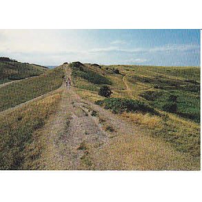 R�geleje - Heatherhill - Tr.R�9 6