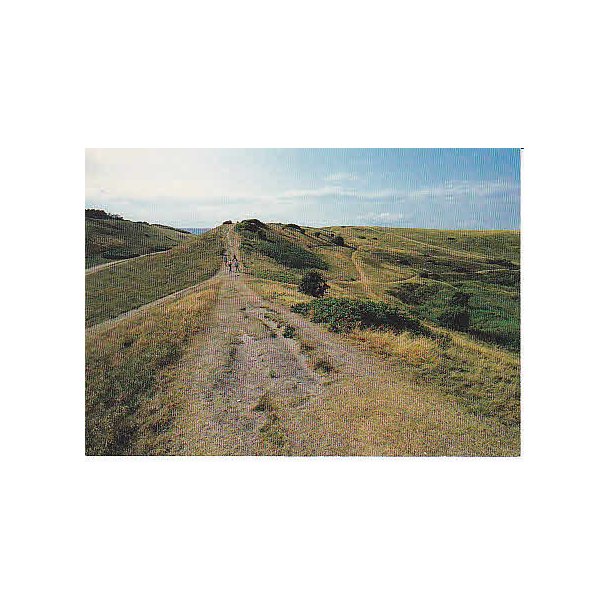 R�geleje - Heatherhill - Tr.R�9 6