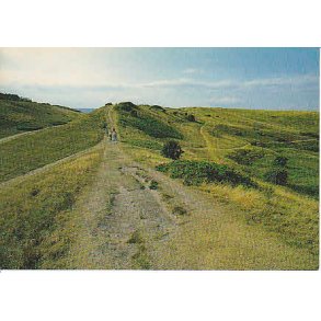 R�geleje - Heatherhill - Tr.R�6