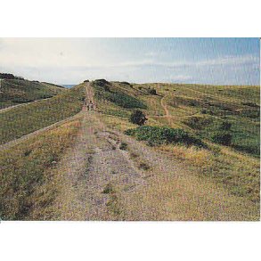 R�geleje - Heatherhill - Tr.R�6