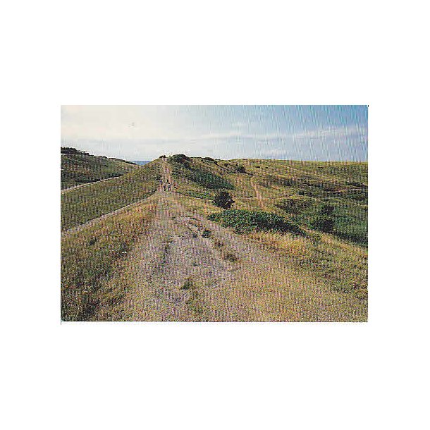 R�geleje - Heatherhill - Tr.R�6