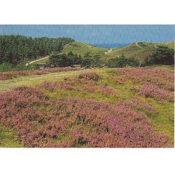 R�geleje - Heatherhill - Tr.R�7