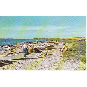 Bjerge Strand - A.3003