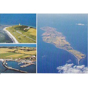 Partier fra Sejer&oslash; - W.F.84143