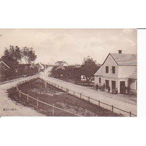 Asn&aelig;s- B. 12020