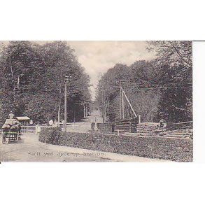 Parti ved Jyderup Station - H.S.P. 10104