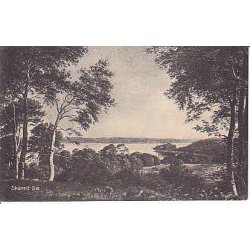 Skarrit S&oslash; - St. 3416