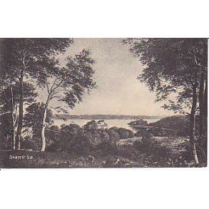 Skarrit S&oslash; - St. 3416