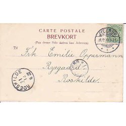 Udsigt fra Drivsaadt over Skarrits&oslash; - K.P.