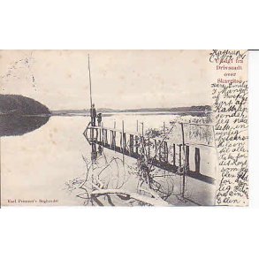 Udsigt fra Drivsaadt over Skarrits&oslash; - K.P.