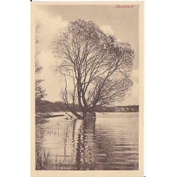 Skarrit S&oslash; - H.S.P. 44843