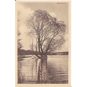 Skarrit S&oslash; - H.S.P. 44843