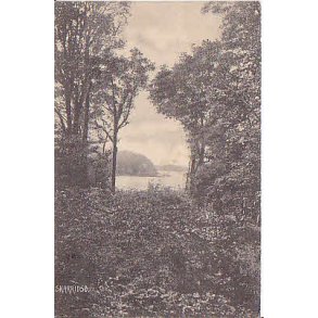 Skarrit S&oslash; - H.S.P. u/n