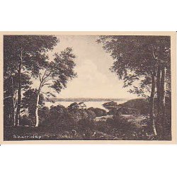 Skarrit S&oslash; - H.S.P. 3416