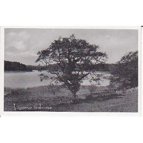 Jyderup -Skarrids&oslash; - H.S.P. 68056