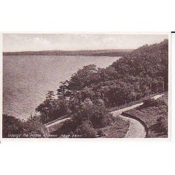 Udsigt fra Hotel Klinten - H&oslash;ve Skov - S.B.Eneret