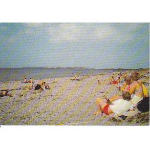 Sommer ved Sejer&oslash; Bugt h.M. 8113