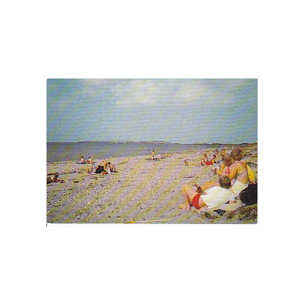 Sommer ved Sejer&oslash; Bugt h.M. 8113