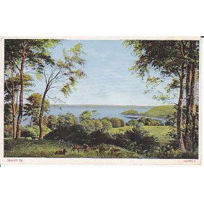 Skarrit S&oslash; - A.V. 51